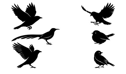 Naklejka premium SEO Title: Black Bird Silhouette Collection with Flying Landing and Standing Avian Shapes