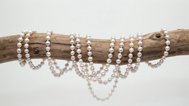 Elegant Strands of White Lustrous Pearls Draped Artistically Over a Natural Weathered Wooden Branch