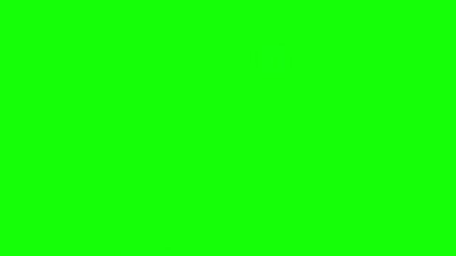 Love you script text animation with floating red hearts against vibrant green screen background for romantic valentine day celebration projects