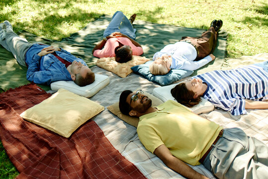 Diverse group of young and middle aged adults lying on blankets in park during outdoor psychotherapy session, representing mental health support and ideal for wellness campaigns