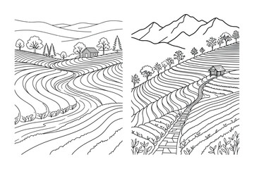 Fototapeta premium Terraced rice fields in mountainous agricultural landscape valley line art