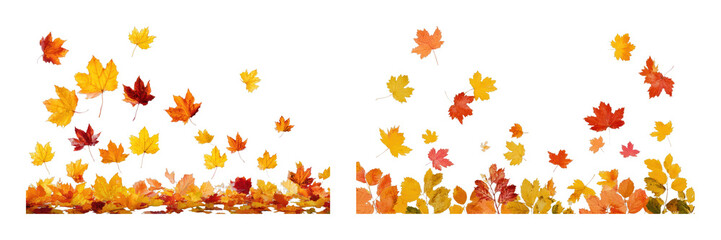 Obraz premium PNG Colorful autumn leaves falling in vibrant seasonal scene, transparent background