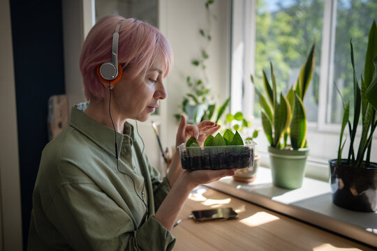 Woman wearing headphones checks zamioculcas cuttings beside houseplants near sunny home window, practicing indoor gardening, plant propagation and mindful nurturing during relaxing wellness routine.