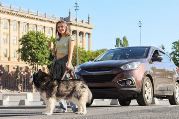 Urban lifestyle and pet ownership, young woman with husky dog and coffee cup standing by car in city street for daily commute or morning walk © Pixel-Shot