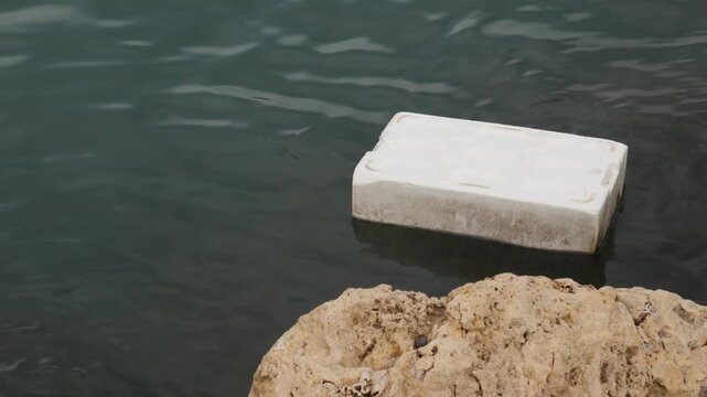 A single plastic box drifts over still lake water beside a large rock on a quiet day. Ideal for environmental pollution, ecology, and nature concepts.