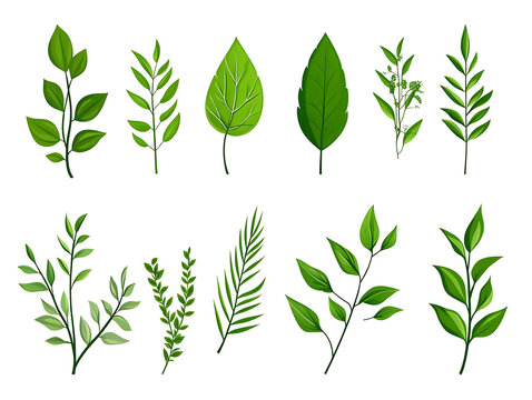 Minimal flat vector illustration featuring various leaves, trees, branches, grass, and botanical elements isolated on white background