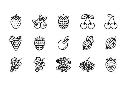 Untitled design Hand drawn berry fruit outline vector collection with strawberries blueberries raspberries cherries and leaves
