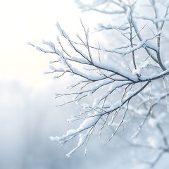 Obraz premium Bare tree branches covered with fresh white snow during winter.