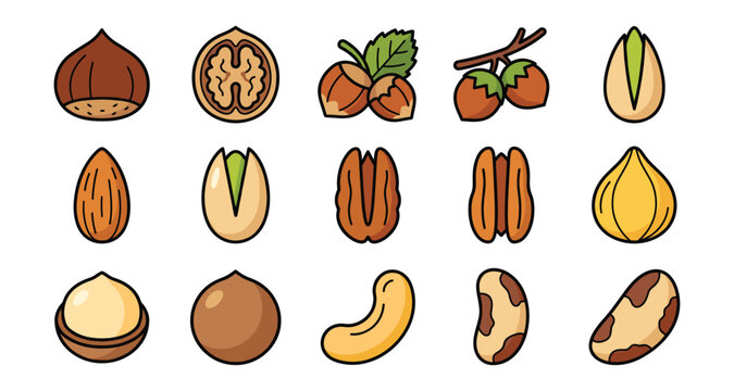 Assorted nut variety icons in flat vector style.