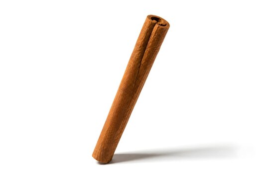 Single Cinnamon Stick Upright on White Background with Elegant Shadow