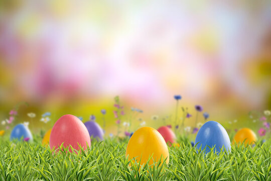 Colorful Easter eggs in green grass with flowers on holiday card