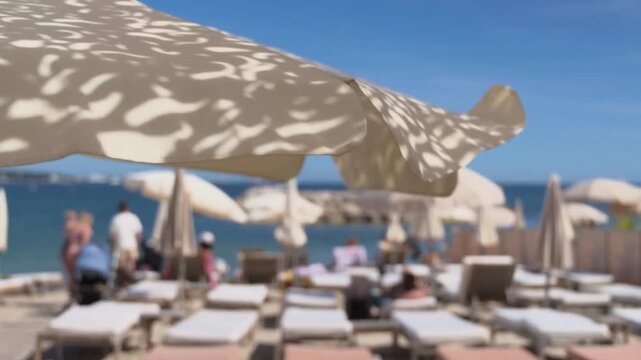 Luxury Beach Resort with Sun Loungers Parasols and Sparkling Sea