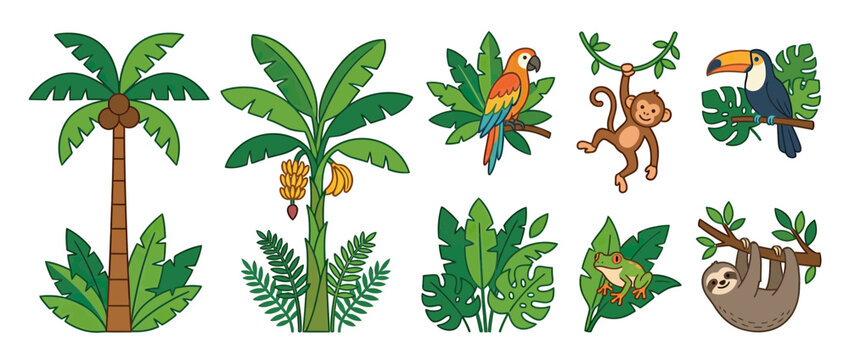 Jungle Wildlife and Tropical Plants Collection