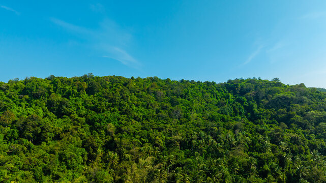 Aerial view of a lush green tropical forest under a bright clear blue sky, showcasing a serene, vibrant, and natural wilderness landscape.concept ecosystem	
