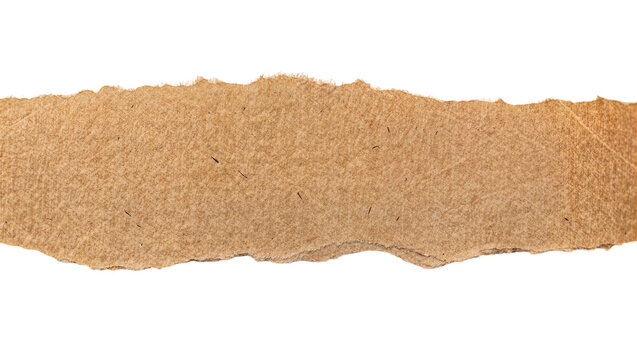 Rough torn brown cardboard strip with textured surface, isolated on transparent background