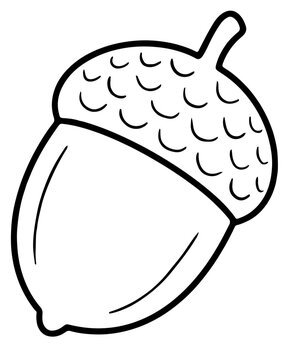 Minimalist cute acorn icon in outline style, isolated autumn vector illustration