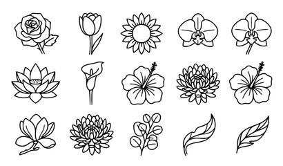 Flowers Line Art Set with Various Blooms, Including Roses, Lilies, Sunflowers, Orchids, and Tropical Hibiscus Designs. © MdDulal