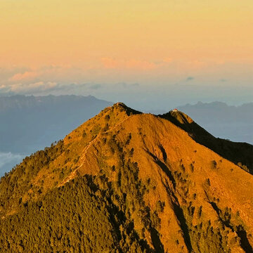 Majestic mountain peak illuminated by golden sunrise light with green forest trees and misty layers in the background