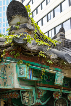 Traditional Korean temple roof covered with ivy against a modern building