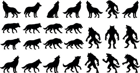 Fototapeta premium Werewolf and wild wolf silhouette collection showing different standing howling and running poses