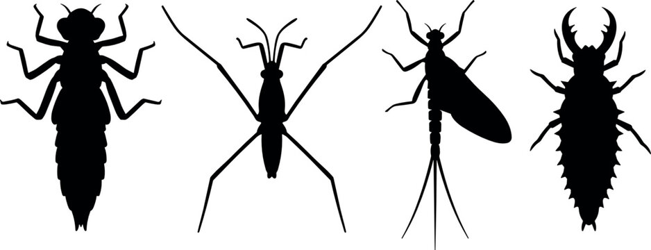 Aquatic Insect Silhouettes Featuring Dragonfly Nymph Water Strider Mayfly and Larva Isolated on White