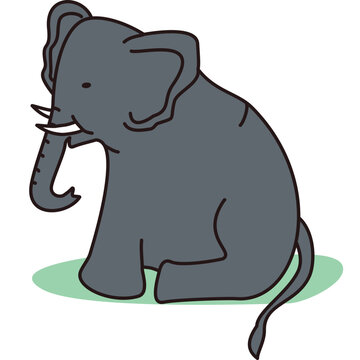 Elephant Sitting