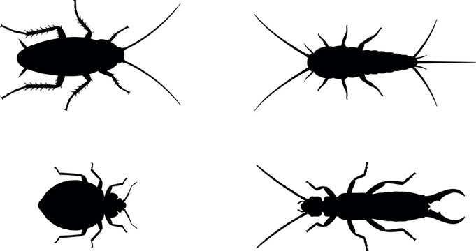Black Silhouettes of Cockroach, Silverfish, Bed Bug, and Earwig