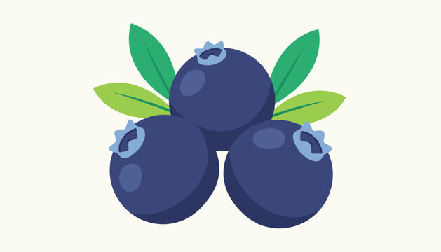 Flat vector illustration of three ripe blue blueberries with fresh green leaves on an off white background.