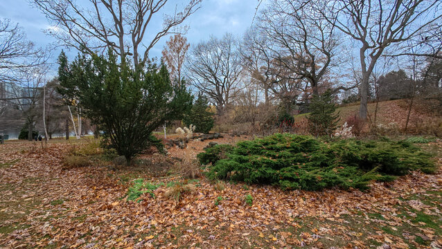 Scenic view of High Park during late autumn season