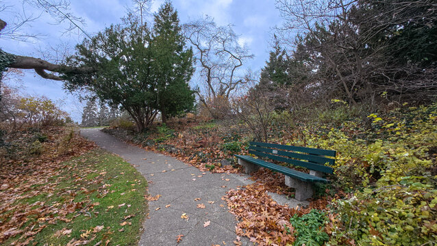 High Park walking path with green bench in Toronto