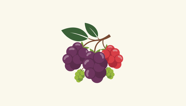 Colorful cartoon illustration of fresh summer berries including grapes blackberries and raspberries on a branch.