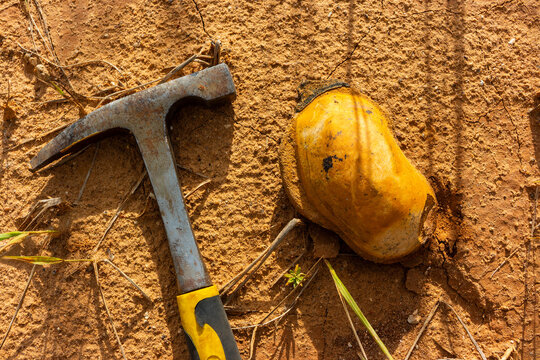Oval-shaped marly concretion lying on arid, cracked ground next to a weathered geological rock hammer, illustrating a field discovery during a prospecting research trip in the desert