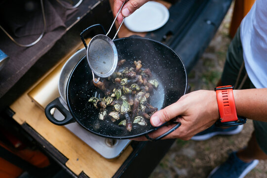 Person cooking percebes goose barnacles seafood outdoor camping