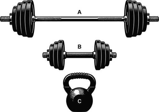 Heavy barbell dumbbell and kettlebell fitness gym equipment set graphic sketch vector illustration isolated on white background.