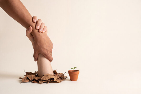Helping hand lifting someone out of dry fallen leaves beside a seedling, support through hardship and recovery