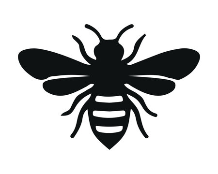 Black silhouette honey bee insect vector icon isolated on a white background with silhouette honeybee creature
