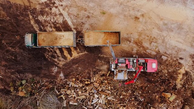 Top down drone view shows wood chipper loading fresh biomass into trucks