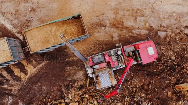 Static top down view shows wood chipper loading fresh biomass into a truck