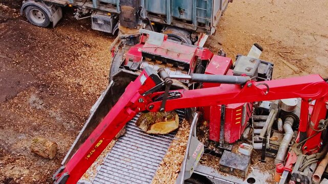 Red grapple feeds timber logs into wood chipper during biomass processing