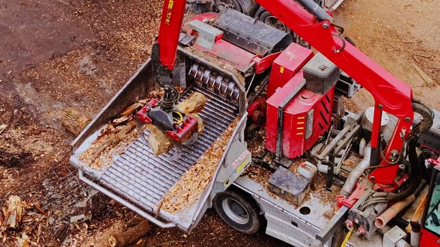 Red industrial machine processes timber and fills hopper with wood chips