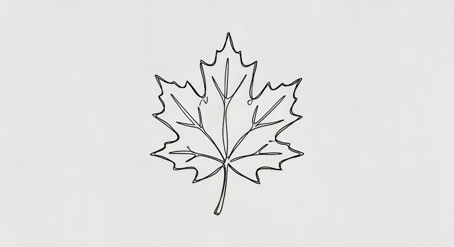 Maple Leaf Line Art Outline Coloring Page Autumn Nature Vector Illustration