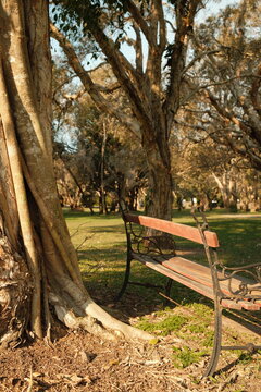 Park bench