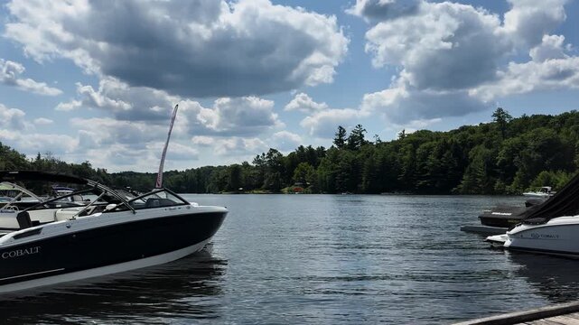 Static view across Port Carling waterway framed by docked motorboats and forest.