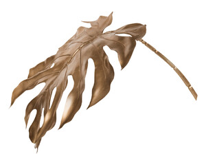 Brown monstera leaf png sticker, botanical, transparent background © Rawpixel.com
