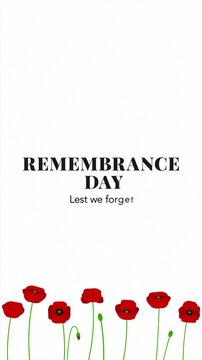 Remembrance Day Lest We Forget Title Animation with Red Poppy Flowers on White Background