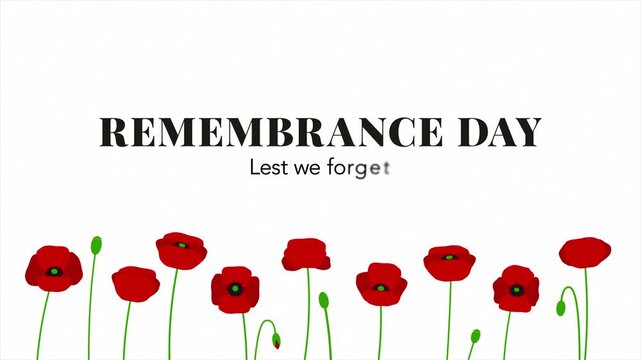 Remembrance Day Lest We Forget Title Animation with Red Poppy Flowers on White Background