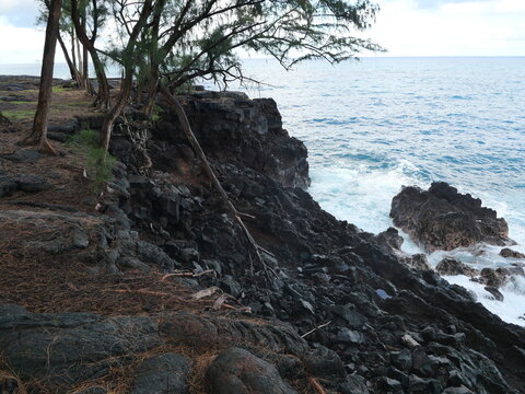 Eroded Lava Coast and Coastal Trees at MacKenzie State Recreation Area, Hawaii