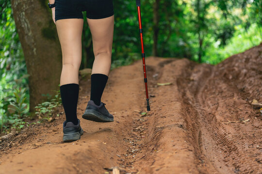 Close-up of person hiking on dirt trail using walking stick wearing shorts black socks and athletic shoes in forest