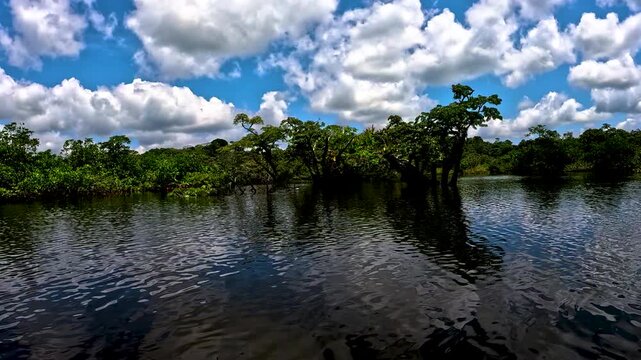Wide Flooded Amazon Rainforest River in Ecuador with Calm Water, Forested Banks, Blue Sky and Remote Tropical Wetland Travel Landscape