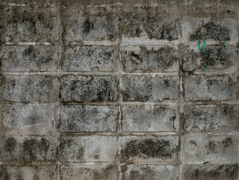 Grungy Cinder Block Wall with Heavy Black Mold and Green Paint Spot